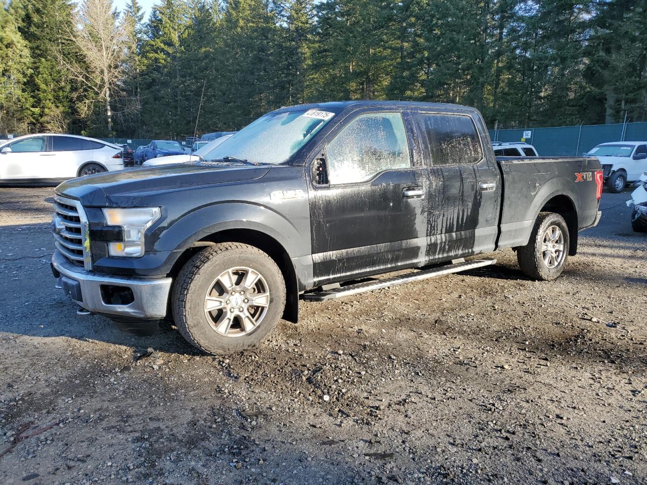 2016 Ford F-150 VIN 1FTFW1EFXGFC75507