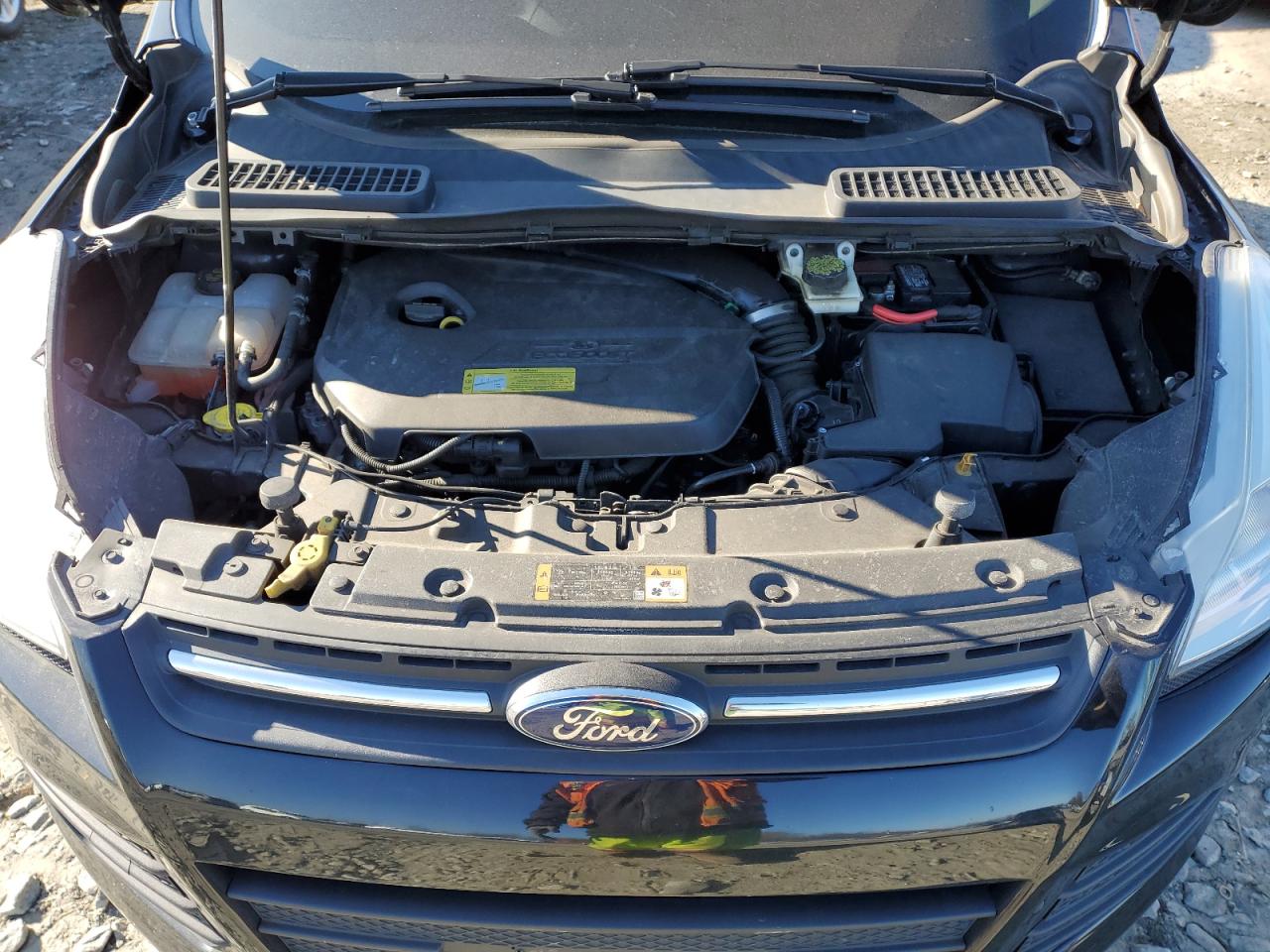 2014 Ford Escape VIN 1FMCU0GXXEUC49700 Copart auction photo, rear end damage thumbnail 12