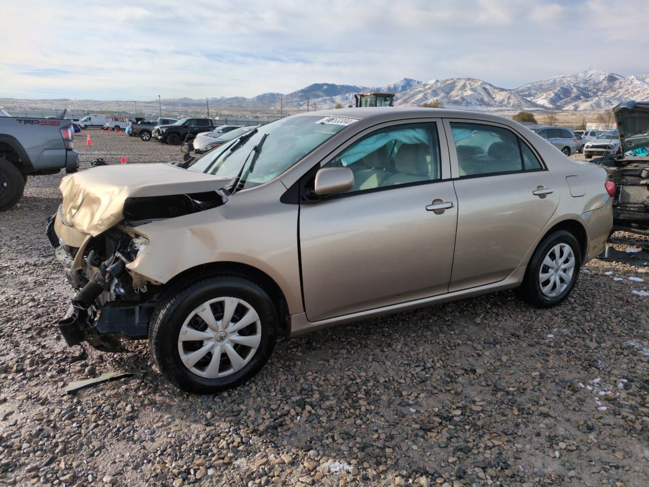 2010 Toyota Corolla VIN 1NXBU4EE9AZ245832