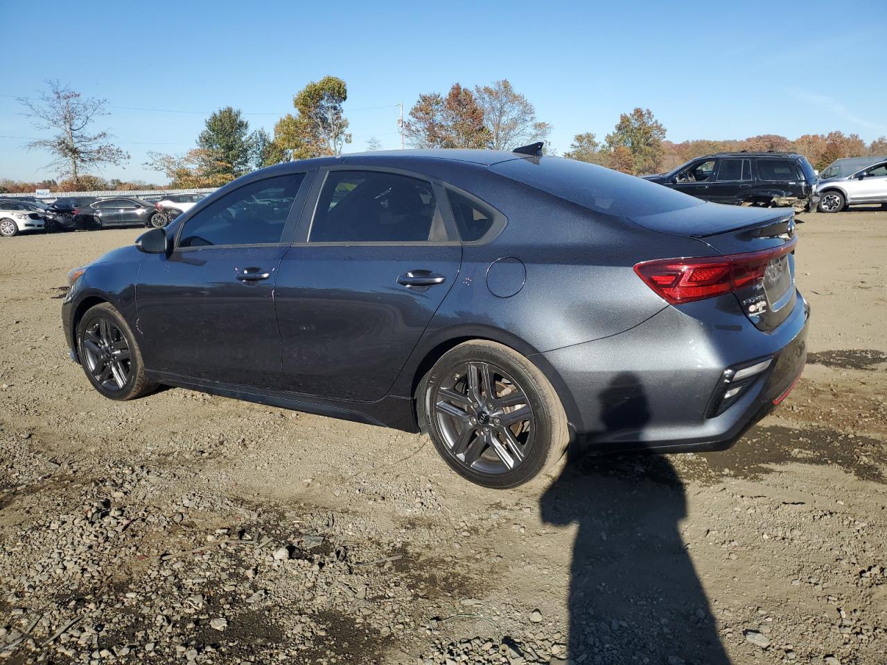 2020 KIA Forte VIN 3KPF34AD2LE216647 Copart auction photo, side damage thumbnail 2