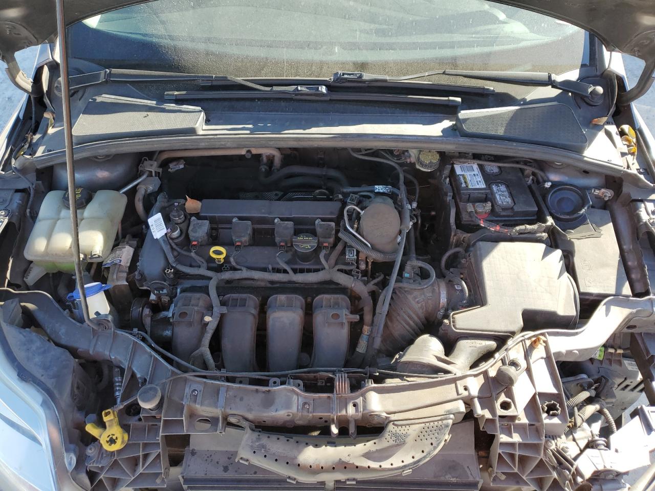 2014 Ford Focus VIN 1FADP3F29EL122942 Copart auction photo, front end damage thumbnail 11
