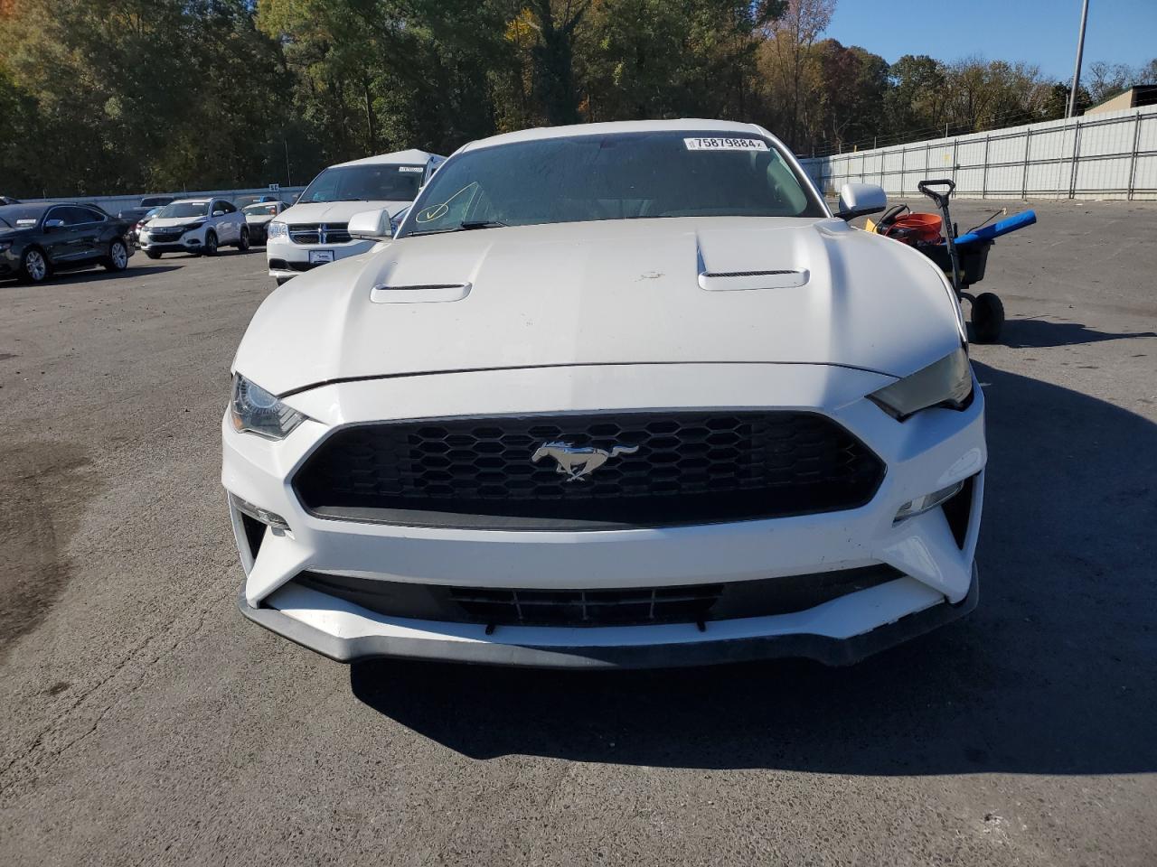 2019 Ford Mustang VIN 1FA6P8TH0K5116882 Copart auction photo, side / rear end damage thumbnail 5