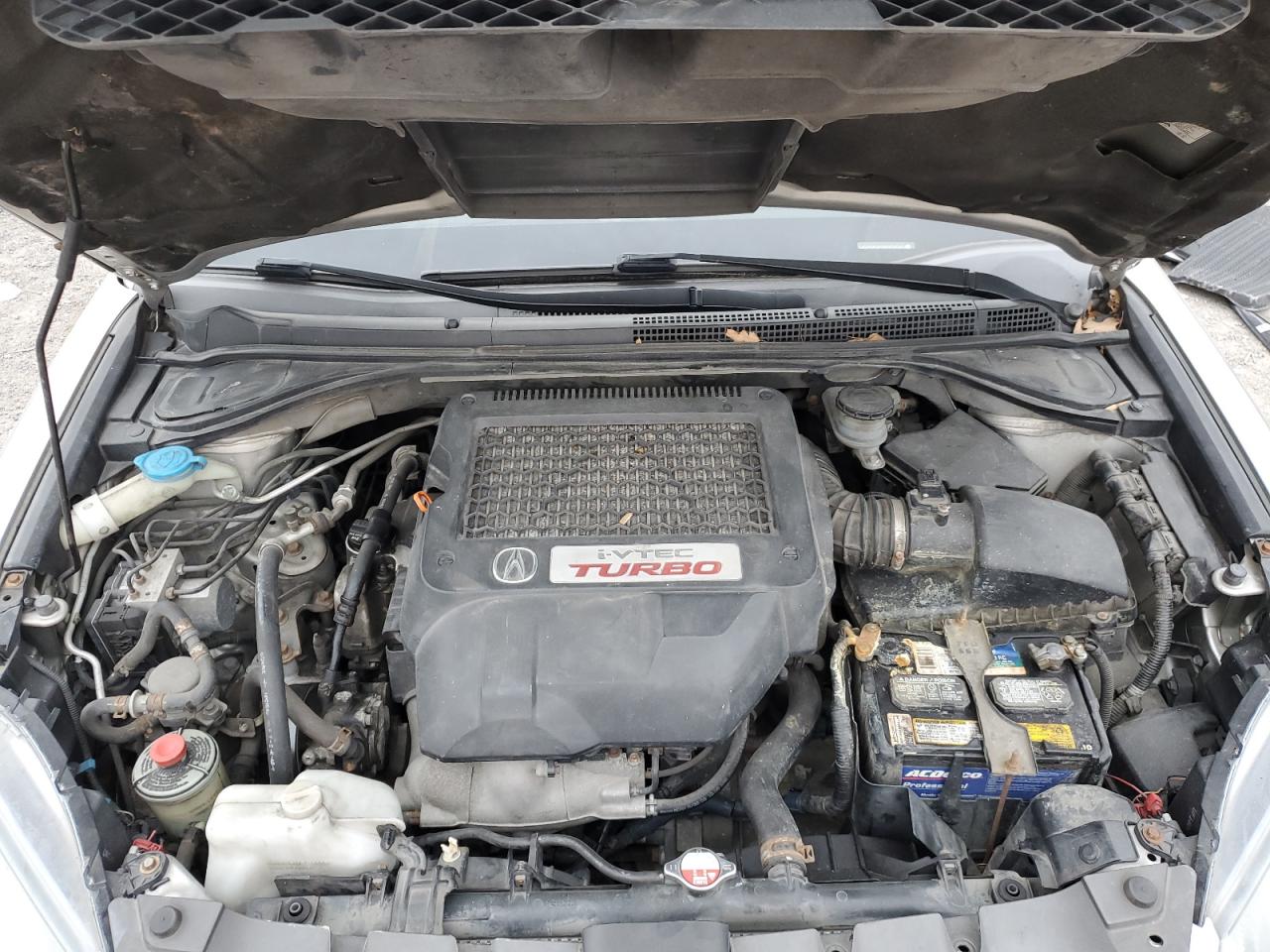 2009 Acura RDX VIN 5J8TB182X9A003824 Copart auction photo, side / minor dent/scratches damage thumbnail 12