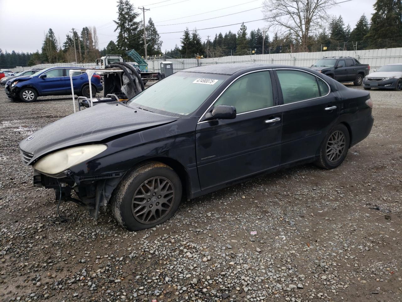 2004 Lexus ES VIN JTHBA30GX45044759
