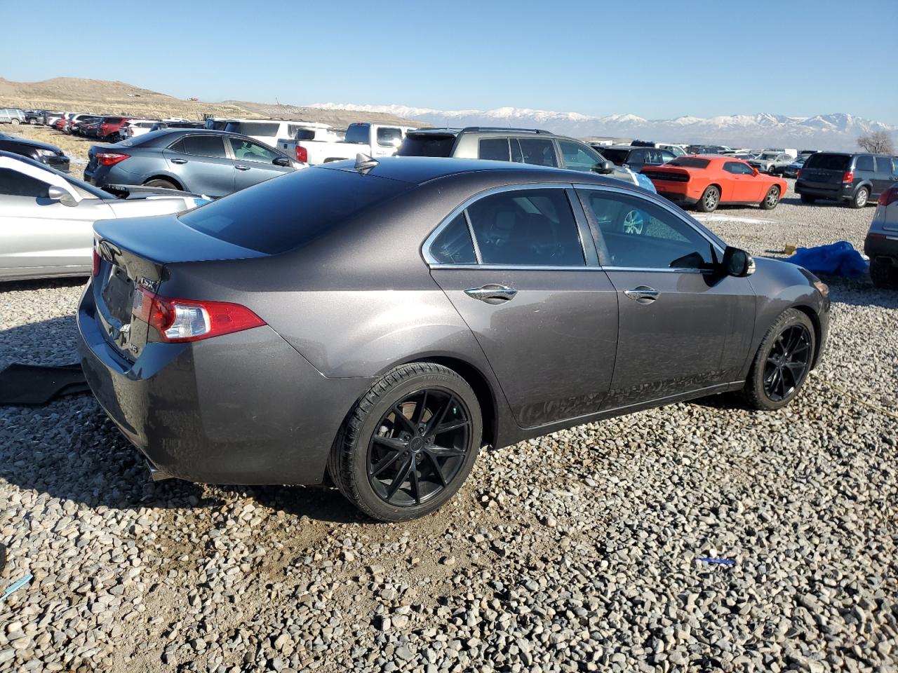 2010 Acura TSX VIN JH4CU4F64AC000389 Copart auction photo, rear end / front end damage thumbnail 3