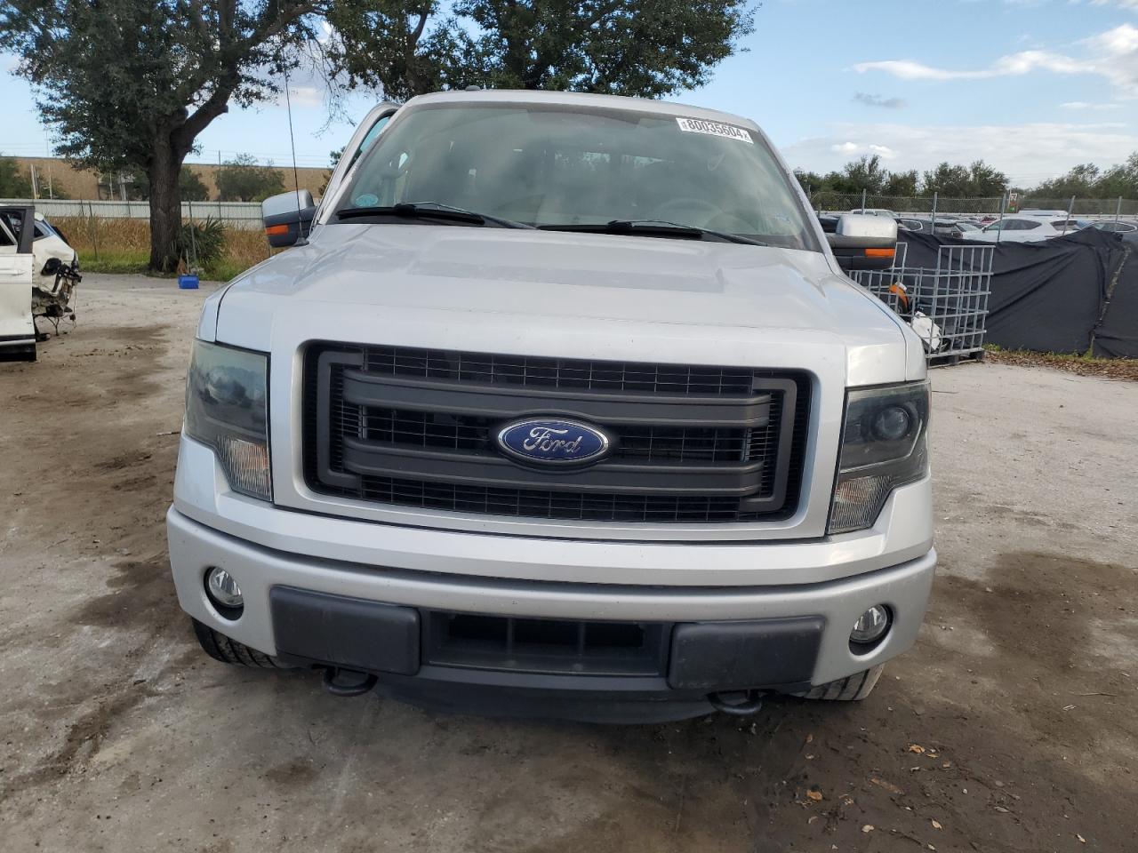 2014 Ford F-150 VIN 1FTFW1ET2EFA10793 Copart auction photo, side damage thumbnail 5
