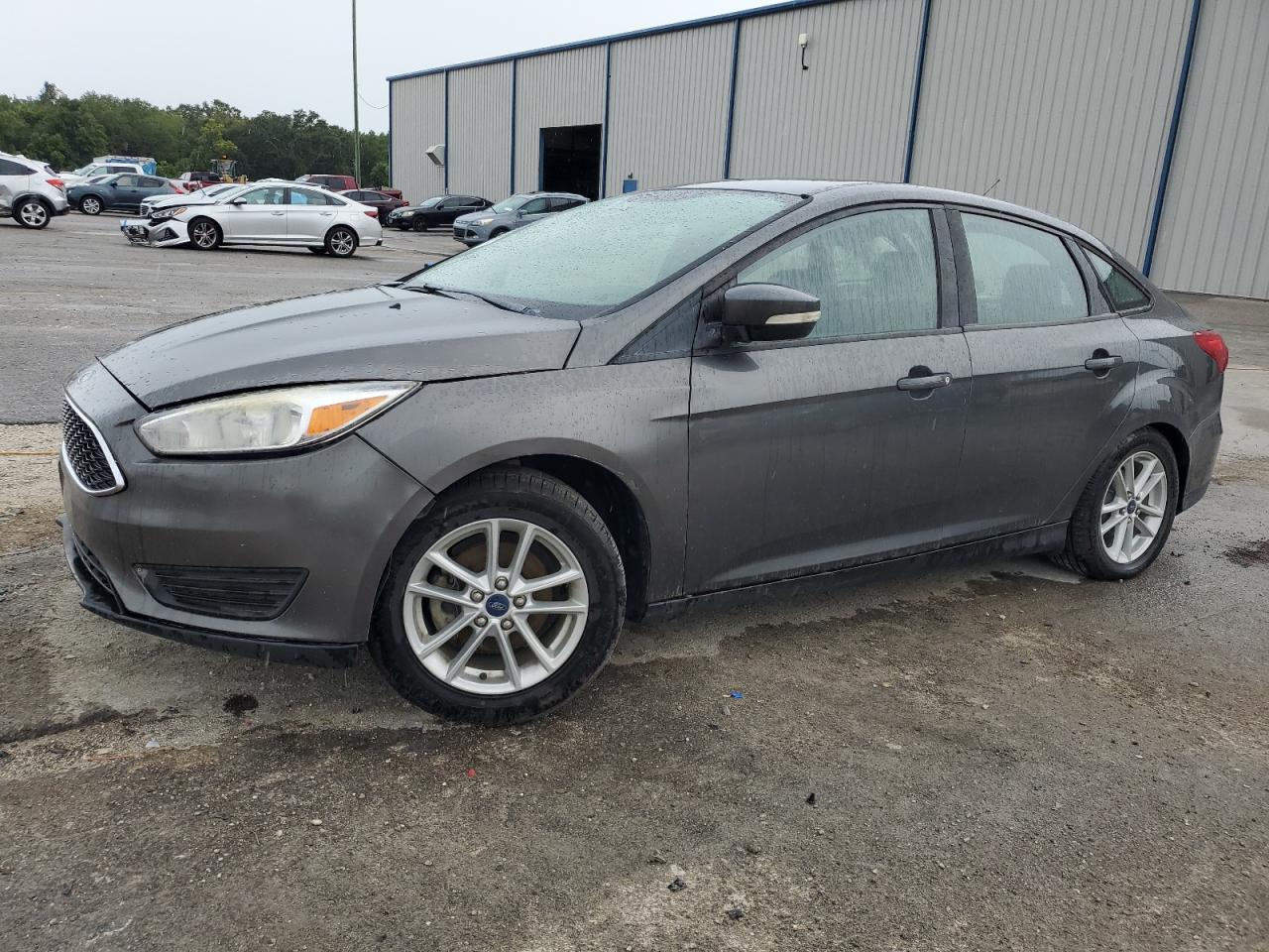 2015 Ford Focus VIN 1FADP3F29FL217194