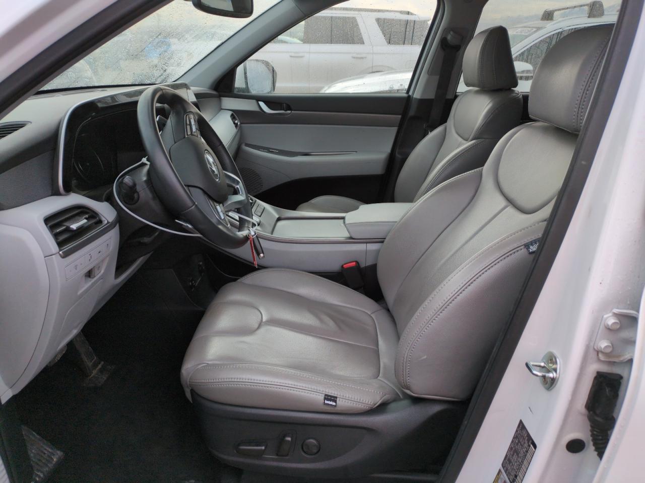 2020 Hyundai Palisade VIN KM8R2DHE9LU055774 Copart auction photo, side / rear end damage thumbnail 7