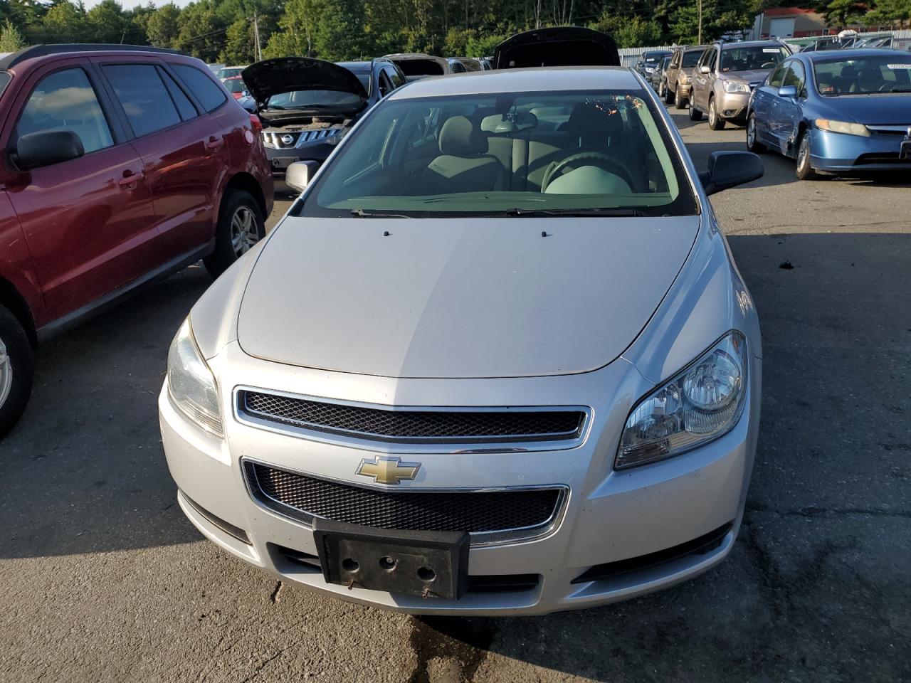 2011 Chevrolet Malibu VIN 1G1ZB5E11BF307816 Copart auction photo, water/flood / front end damage thumbnail 5
