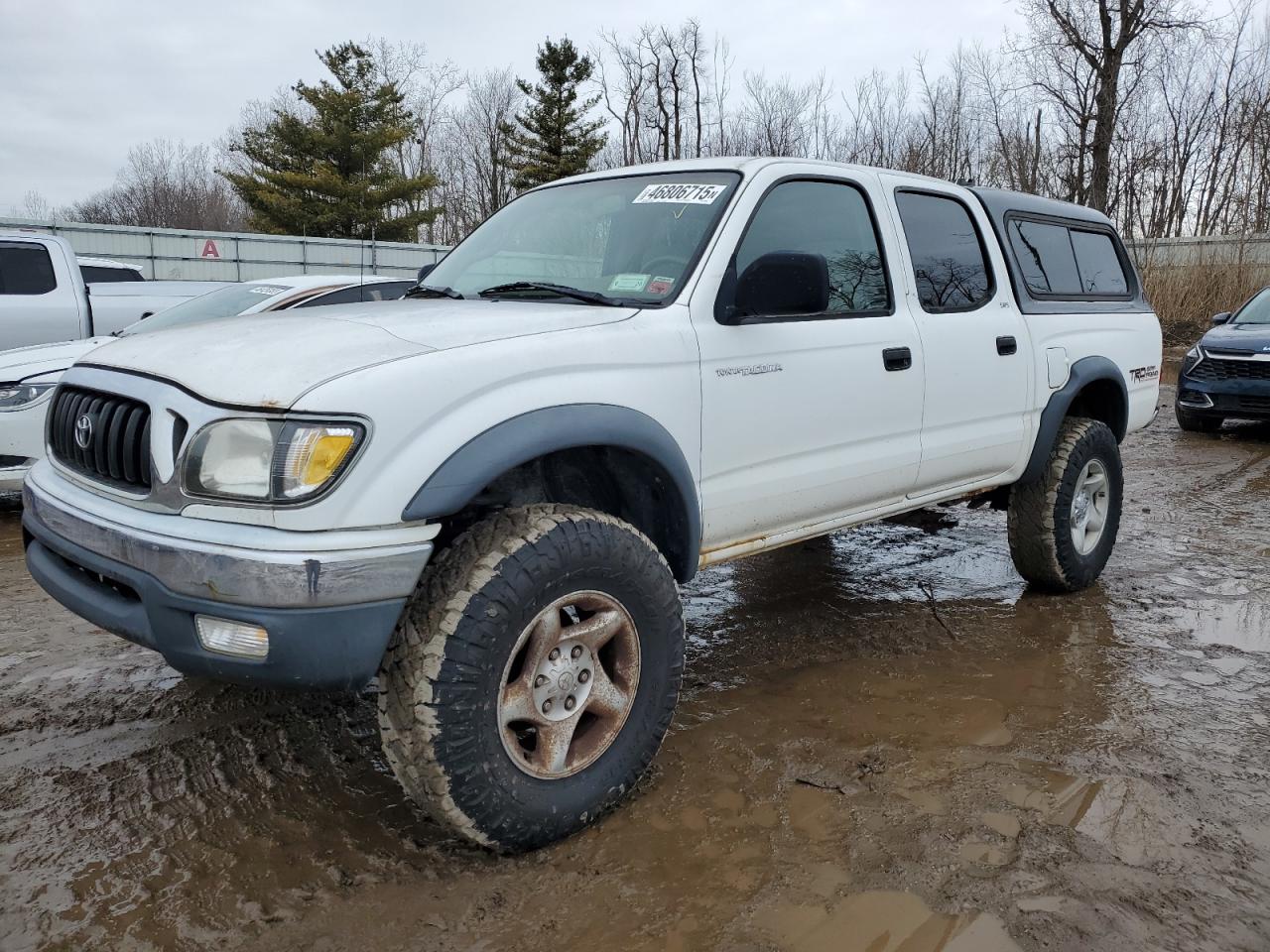2004 Toyota Tacoma VIN 5TEHN72N04Z446855