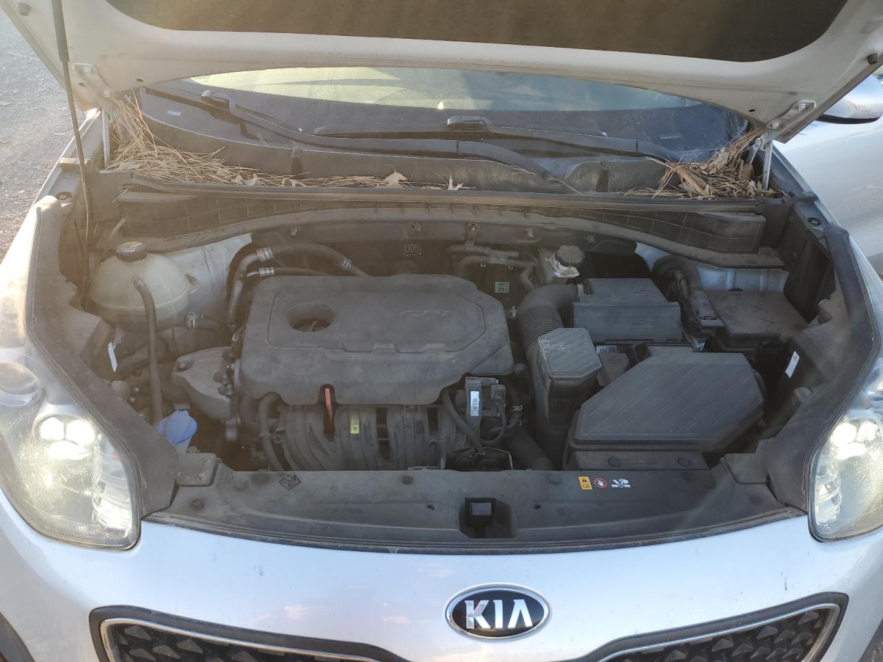 2018 KIA Sportage VIN KNDPM3AC7J7384221 Copart auction photo, side / undercarriage damage thumbnail 14