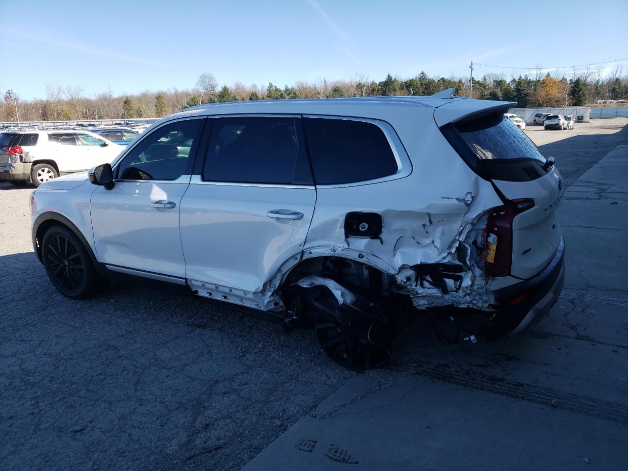 2020 KIA Telluride VIN 5XYP5DHC3LG017752 Copart auction photo, side / rear end damage thumbnail 2