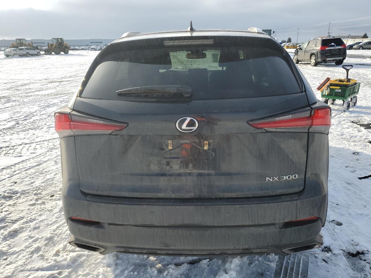2020 Lexus NX VIN JTJDARDZ3L2225997 Copart auction photo, side damage thumbnail 6