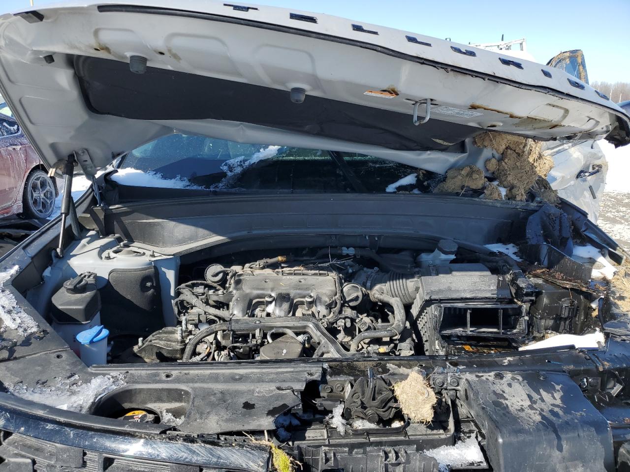 2021 KIA Telluride VIN 5XYP3DHC8MG191114 Copart auction photo, front end / side damage thumbnail 13