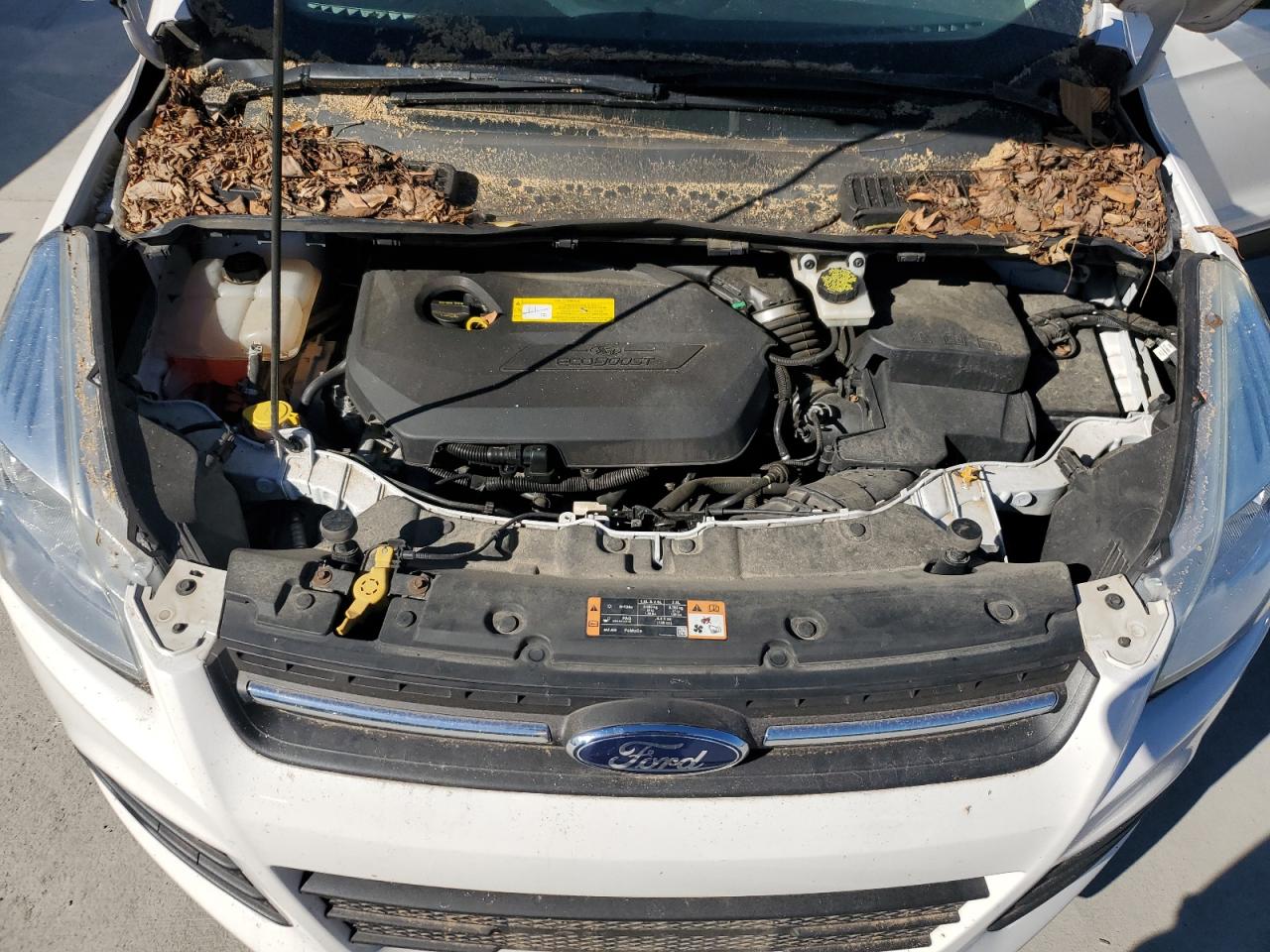 2016 Ford Escape VIN 1FMCU9GX4GUB82955 Copart auction photo, top/roof / minor dent/scratches damage thumbnail 12
