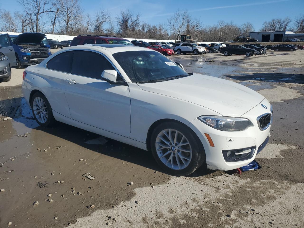2016 BMW 2er VIN WBA1G9C55GV599175 Copart auction photo, hail damage thumbnail 4