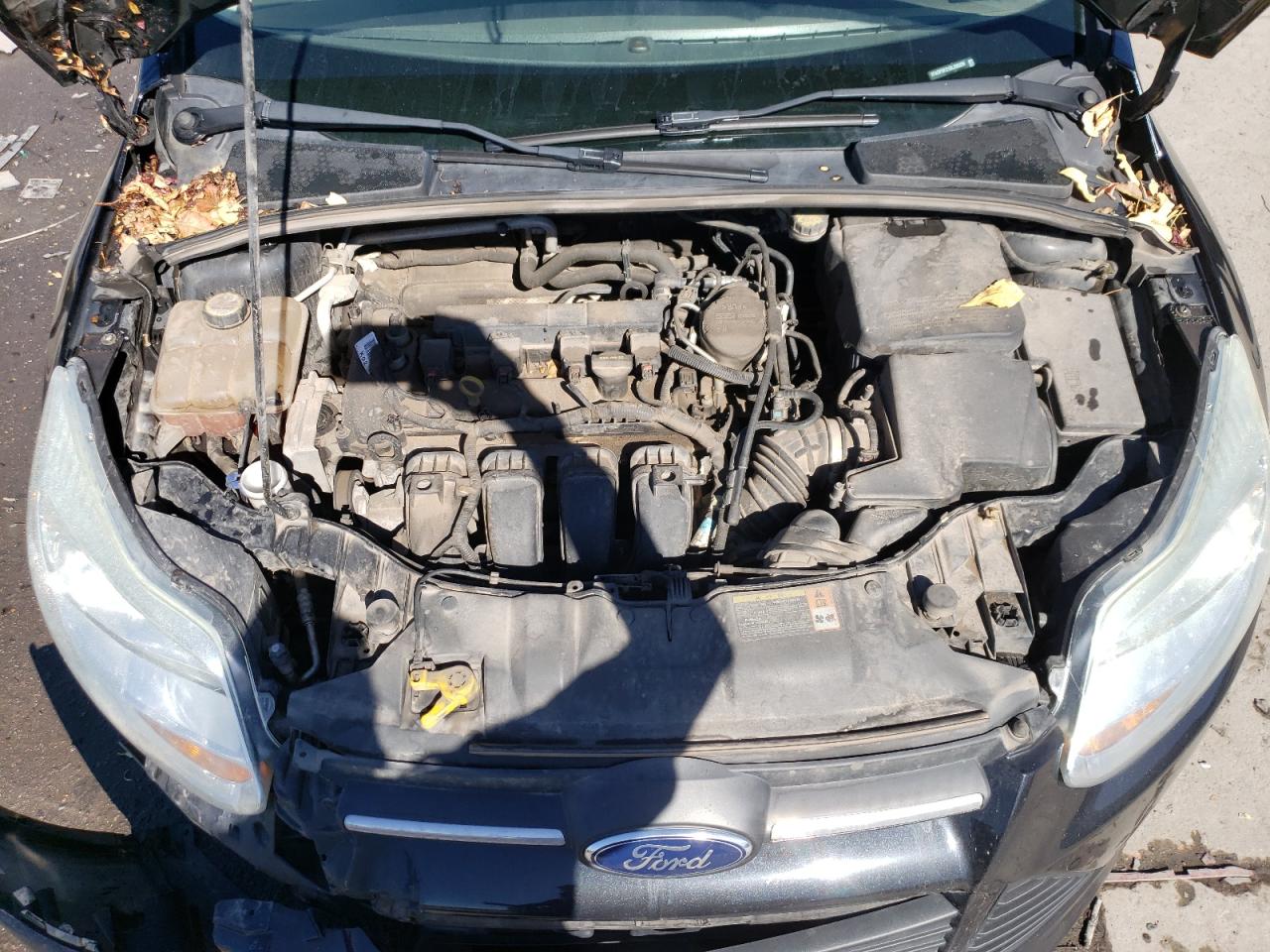 2013 Ford Focus VIN 1FADP3F21DL226209 Copart auction photo, front end / side damage thumbnail 11