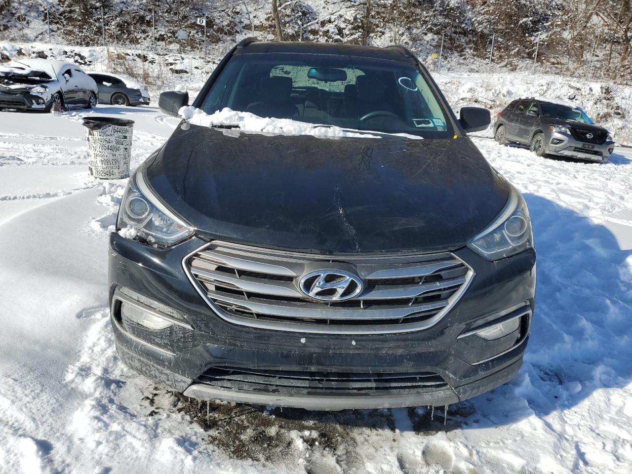 2017 Hyundai Santa Fe VIN 5XYZUDLB7HG445390 Copart auction photo, all over / side damage thumbnail 5