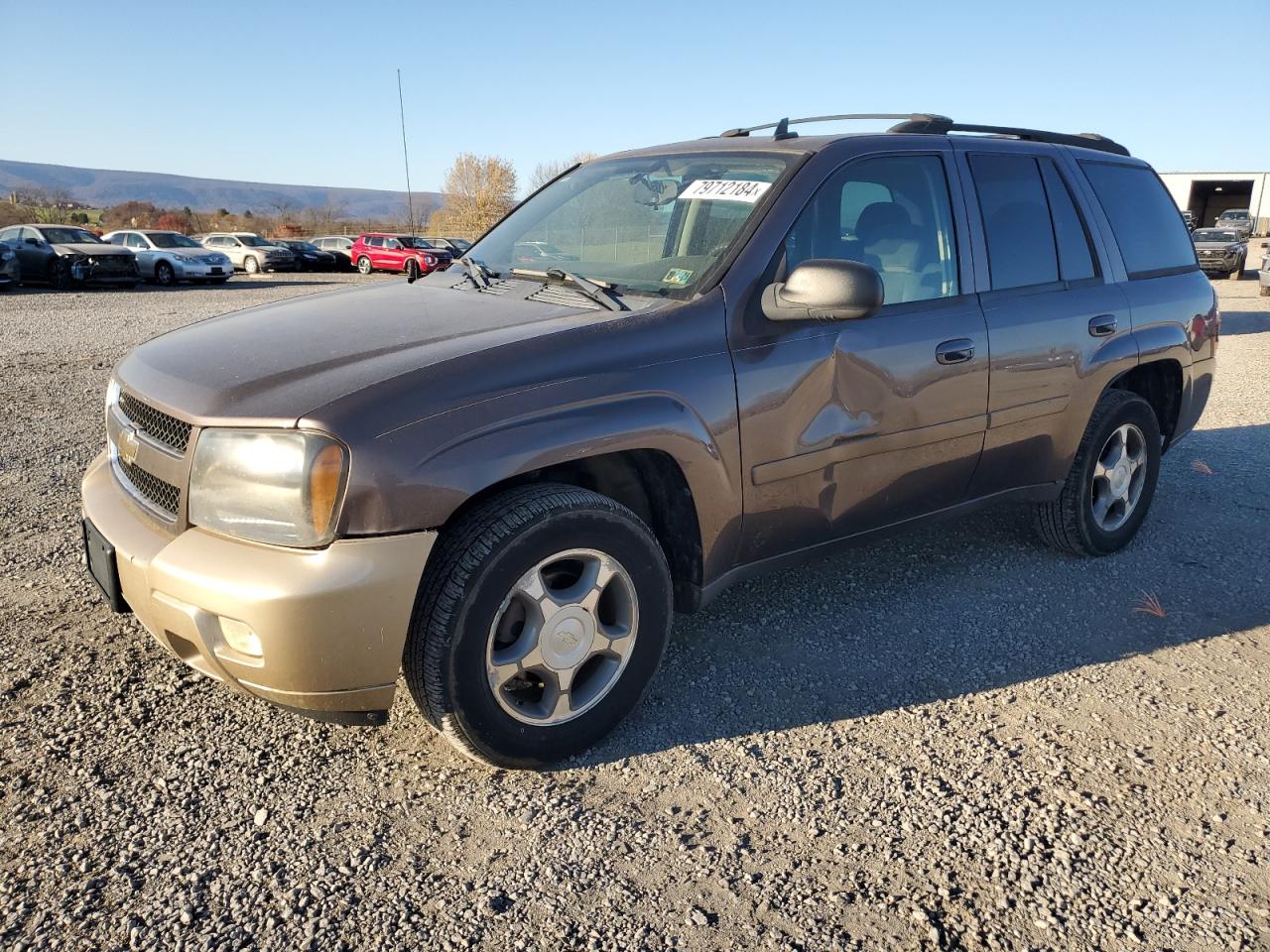 2008 Chevrolet TrailBlazer VIN 1GNDT13S982123587