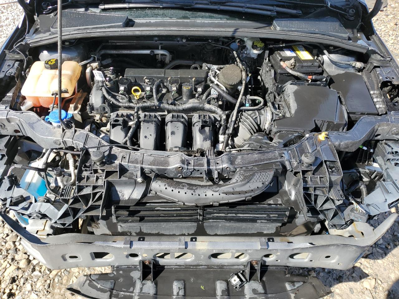 2016 Ford Focus VIN 1FADP3K24GL326153 Copart auction photo, front end damage thumbnail 11