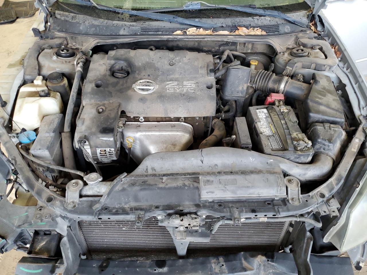 2006 Nissan Altima VIN 1N4AL11D96N440139 Copart auction photo, front end / minor dent/scratches damage thumbnail 11