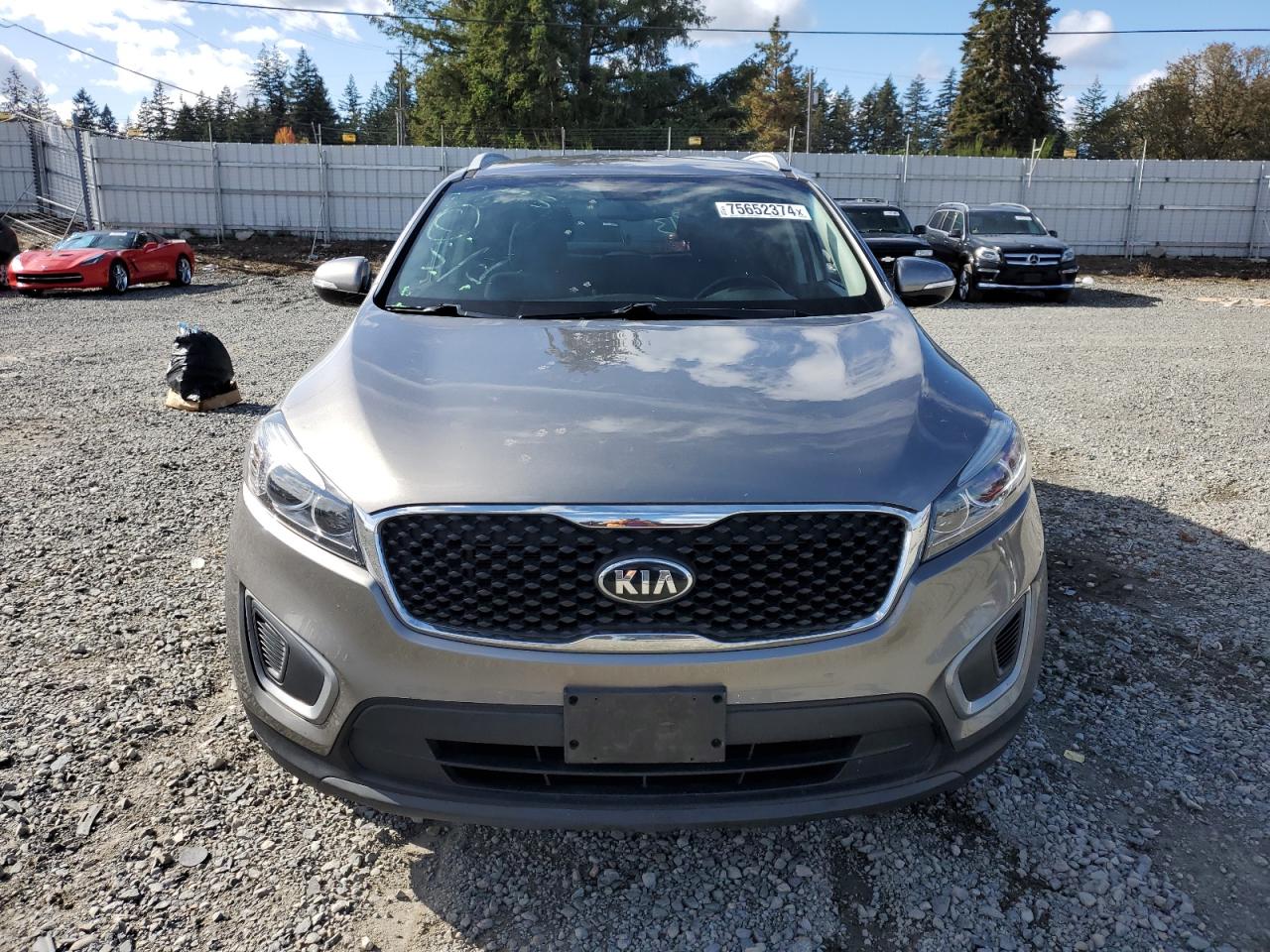 2016 KIA Sorento VIN 5XYPGDA39GG064388 Copart auction photo, vandalism damage thumbnail 5