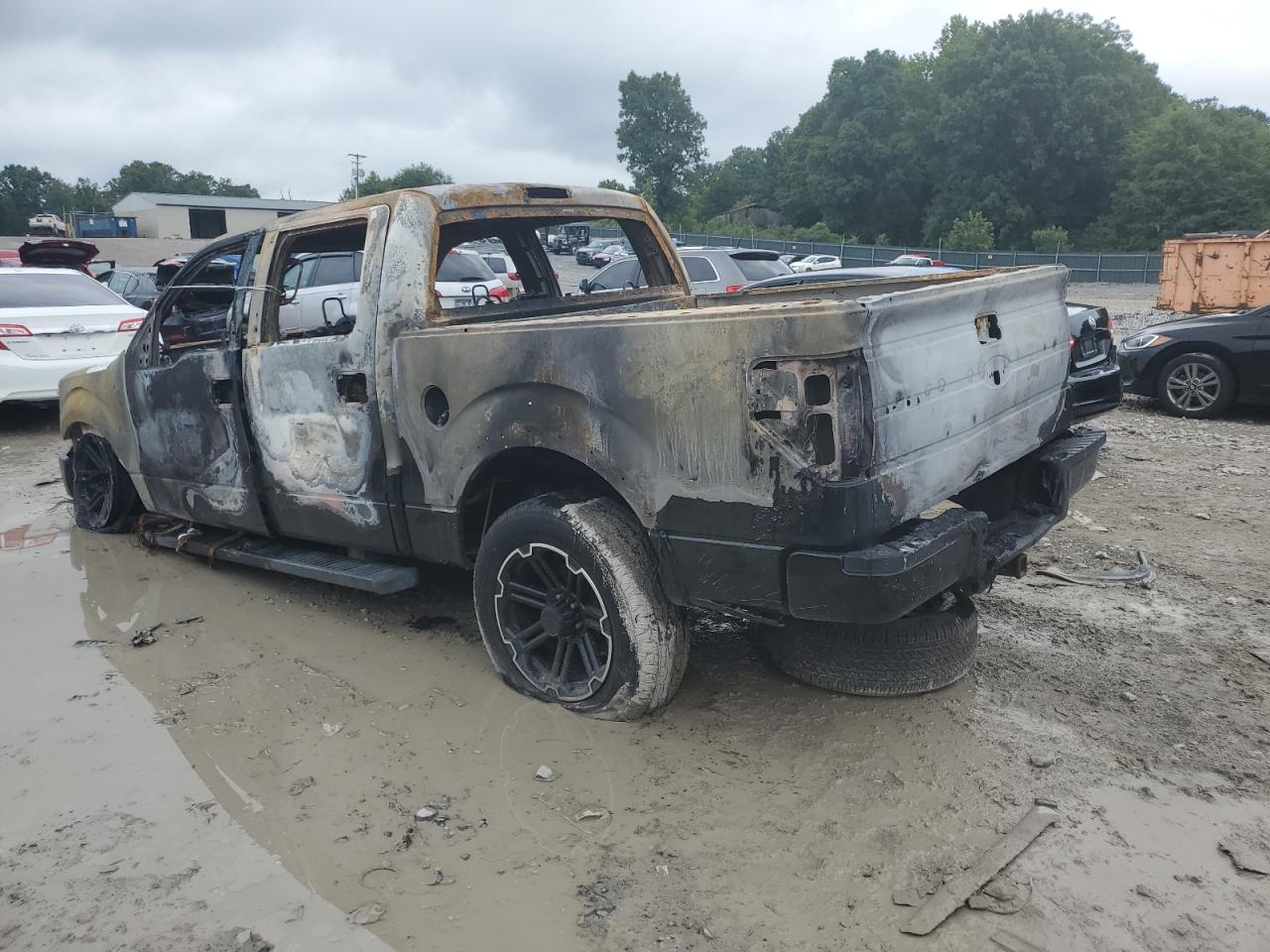 2010 Ford F-150 VIN 1FTEW1C81AKE53593 Copart auction photo, burn damage thumbnail 2