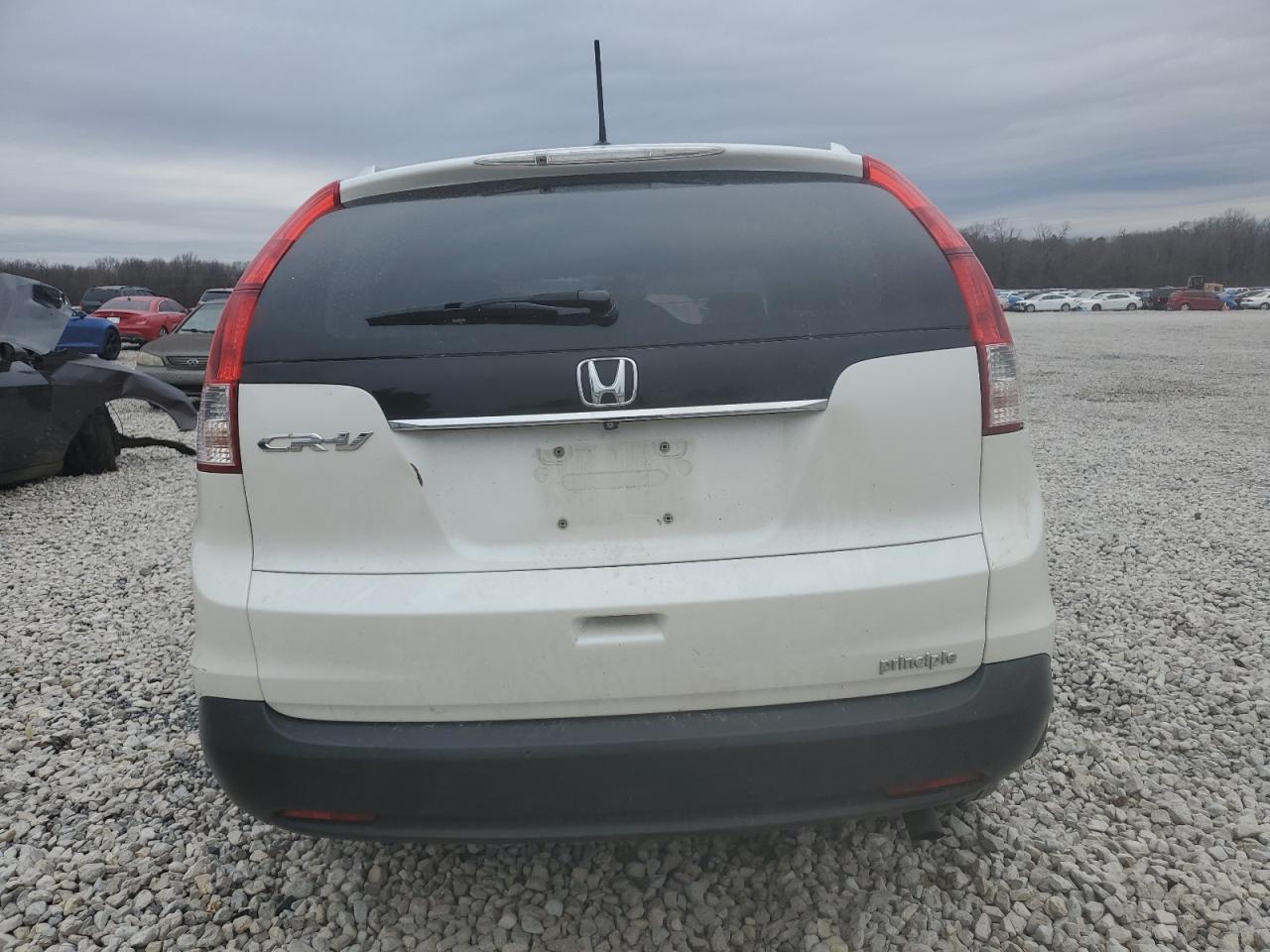 2014 Honda CR-V VIN 5J6RM3H76EL016105 Copart auction photo, side damage thumbnail 6