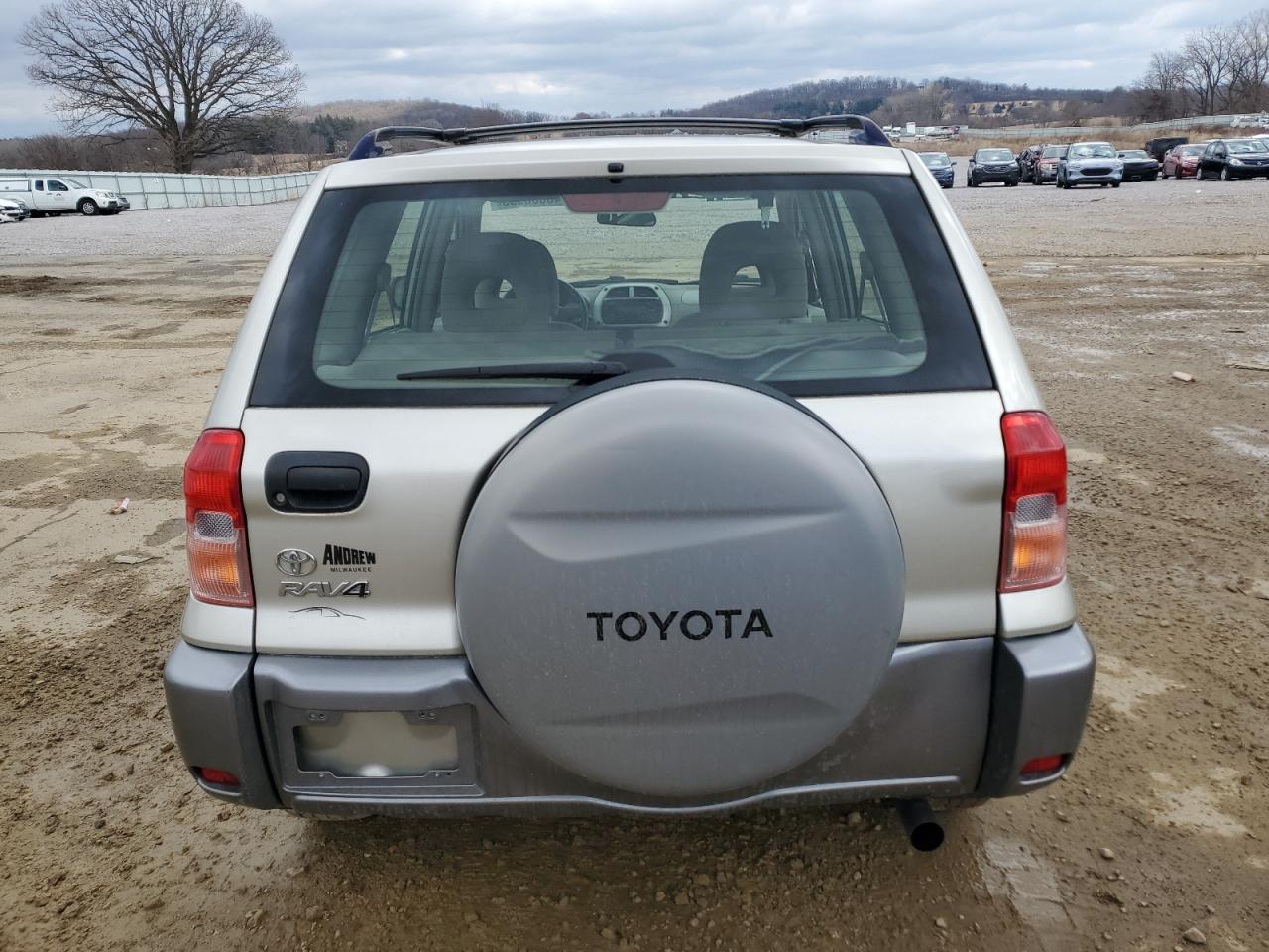 2002 Toyota RAV 4 VIN JTEGH20V420043558 Copart auction photo, side damage thumbnail 6