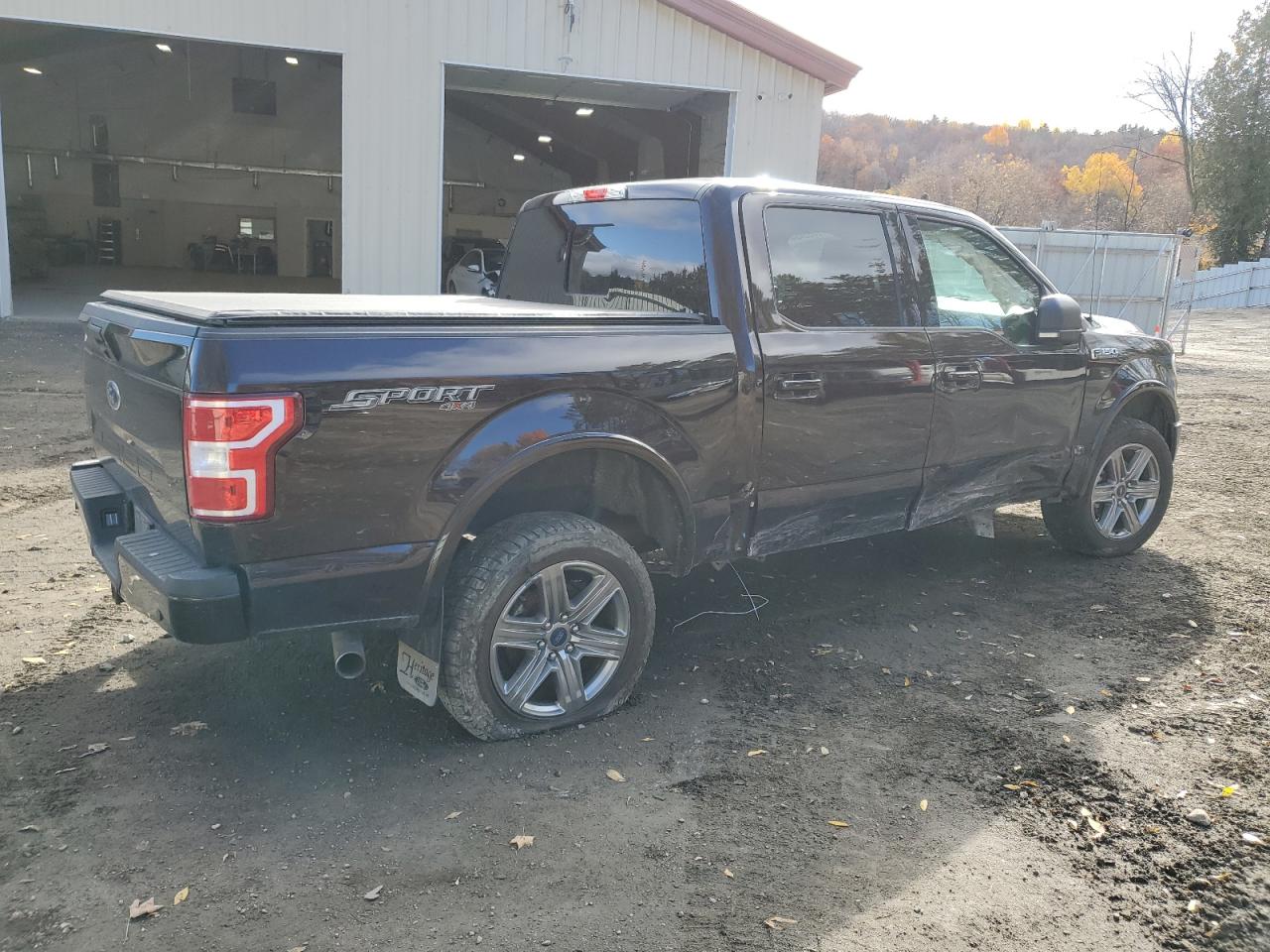 2019 Ford F-150 VIN 1FTEW1E57KFC21884 Copart auction photo, side / rear end damage thumbnail 3