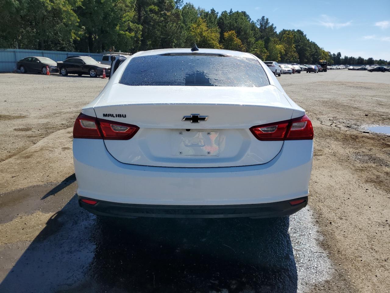 2019 Chevrolet Malibu VIN 1G1ZB5ST8KF206357 Copart auction photo, side damage thumbnail 6
