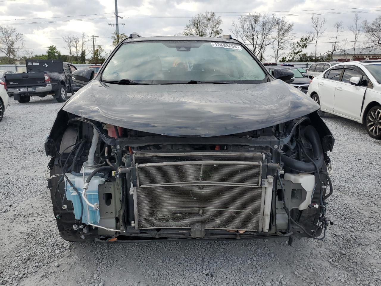 2016 Toyota RAV 4 VIN JTMDJREV7GD024483 Copart auction photo, front end / rear end damage thumbnail 5
