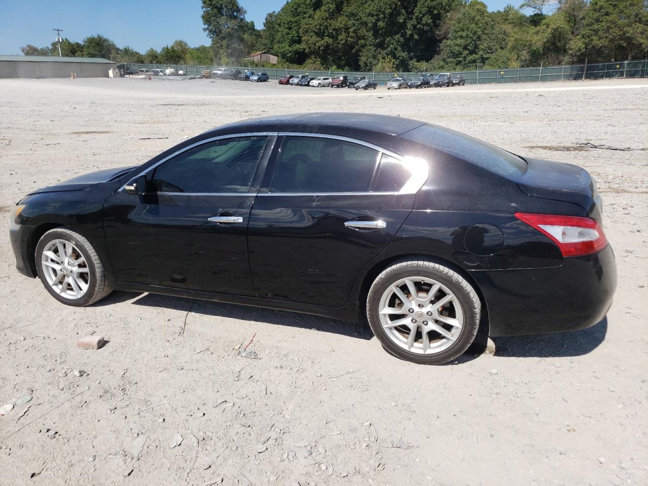 2009 Nissan Maxima VIN 1N4AA51E49C813917 Copart auction photo, front end damage thumbnail 2