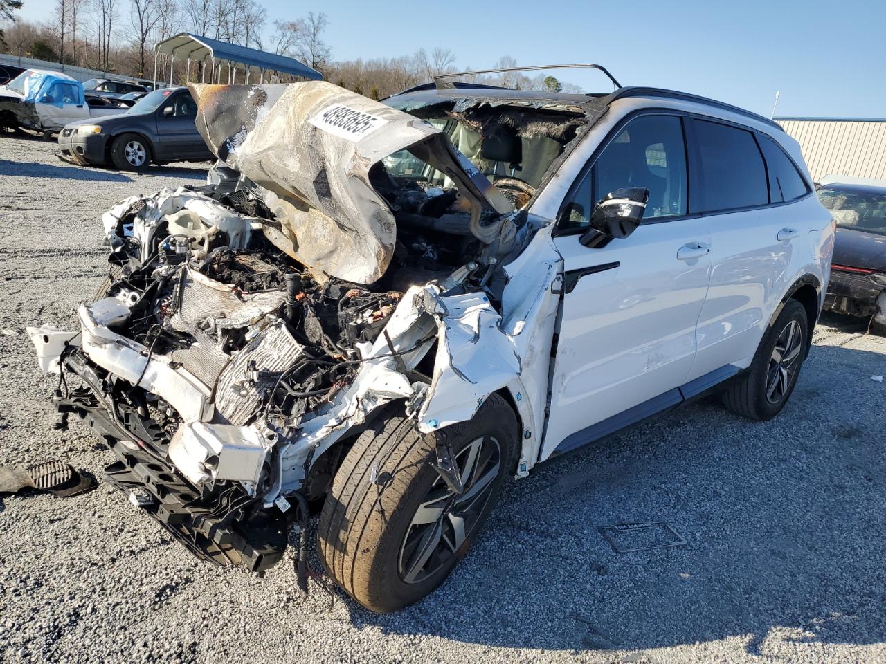 2023 KIA Sorento VIN 5XYRH4LFXPG180681