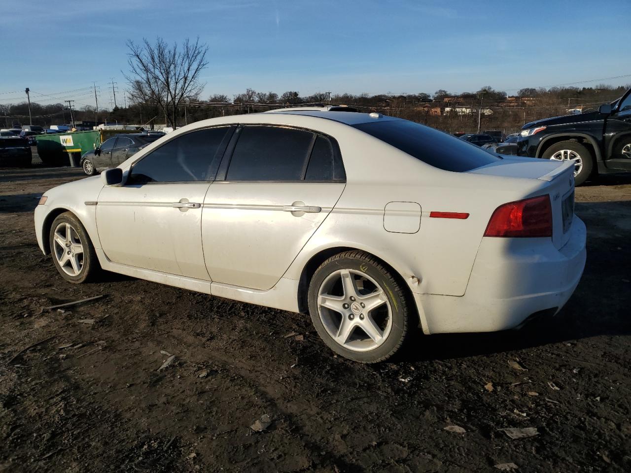 2006 Acura TL VIN 19UUA66276A019191 Copart auction photo, side damage thumbnail 2