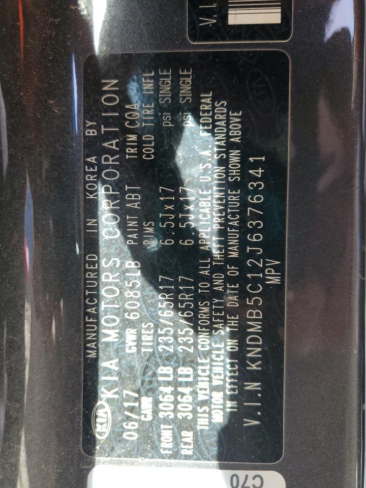 2018 KIA Sedona VIN KNDMB5C12J6376341 Copart auction photo, front end damage thumbnail 13