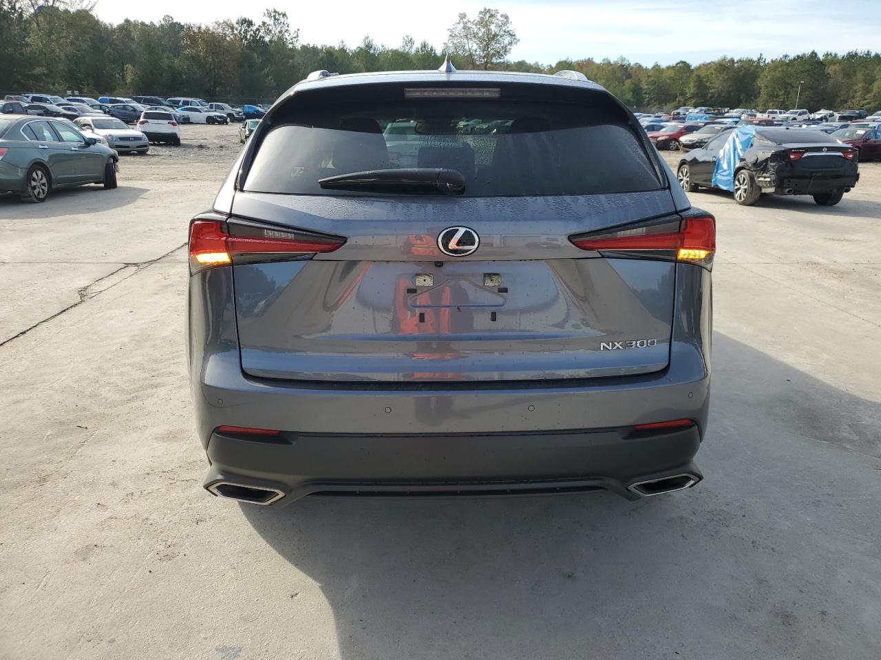 2020 Lexus NX VIN JTJDARDZXL5017811 Copart auction photo, side damage thumbnail 6