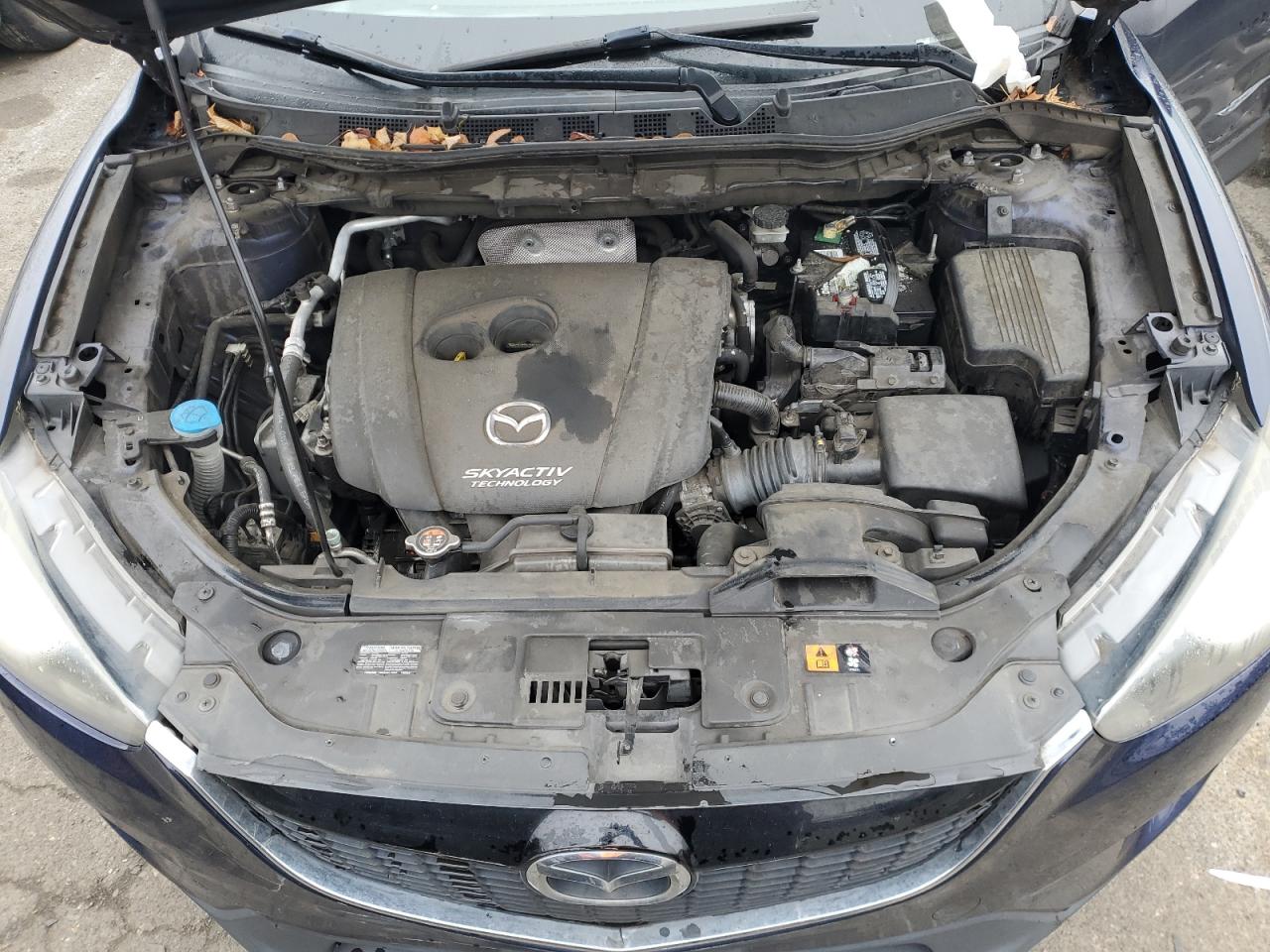 2014 Mazda CX-5 VIN JM3KE4DY1E0341746 Copart auction photo, side / rear end damage thumbnail 12