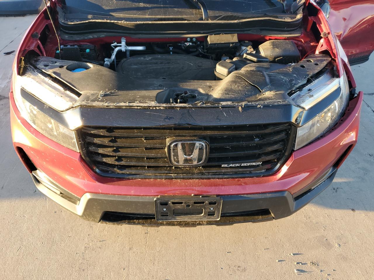 2024 Honda Passport VIN 5FNYF8H84RB001631 Copart auction photo, all over damage thumbnail 11