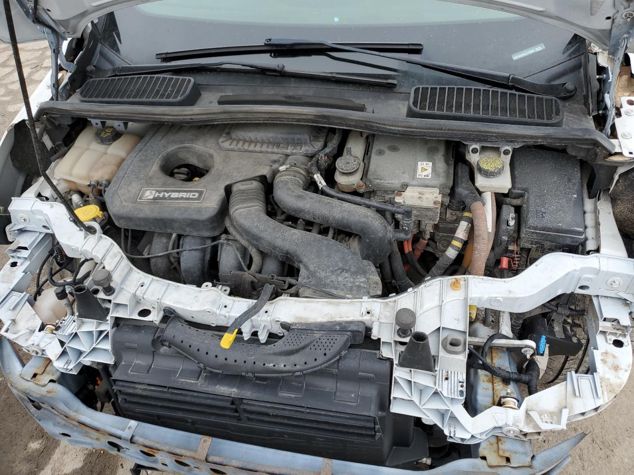 2016 Ford C-MAX VIN 1FADP5AU5GL119446 Copart auction photo, front end damage thumbnail 12