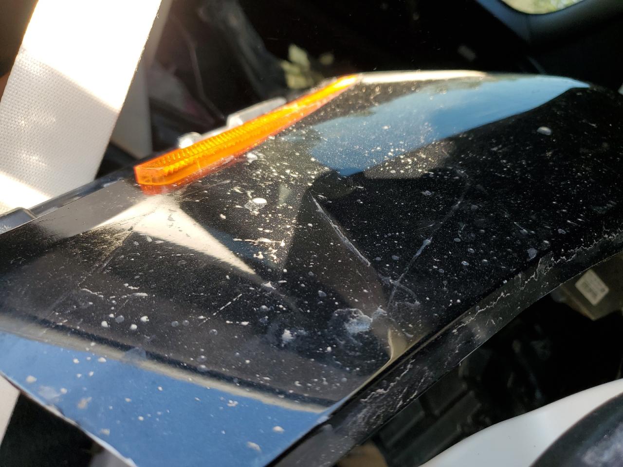 2019 BMW X7 VIN 5UXCX4C52KLS35720 Copart auction photo, front end damage thumbnail 12
