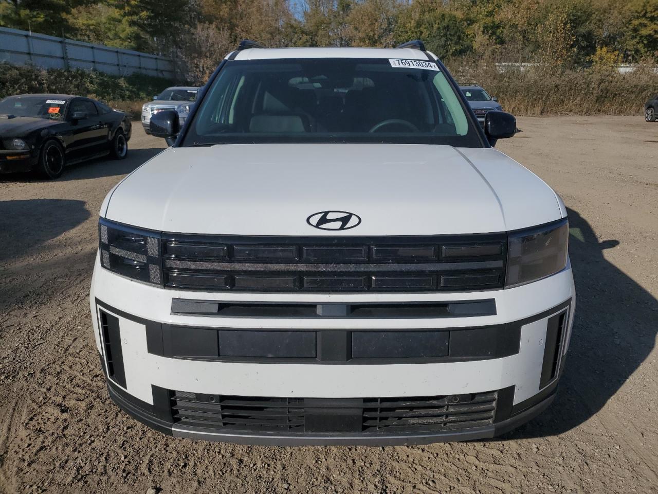2024 Hyundai Santa Fe VIN 5NMP3DGL0RH005788 Copart auction photo, rear end / minor dent/scratches damage thumbnail 5