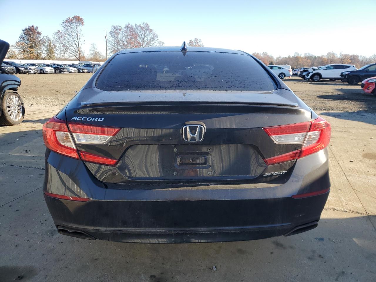 2019 Honda Accord VIN 1HGCV1F31KA096628 Copart auction photo, side damage thumbnail 6