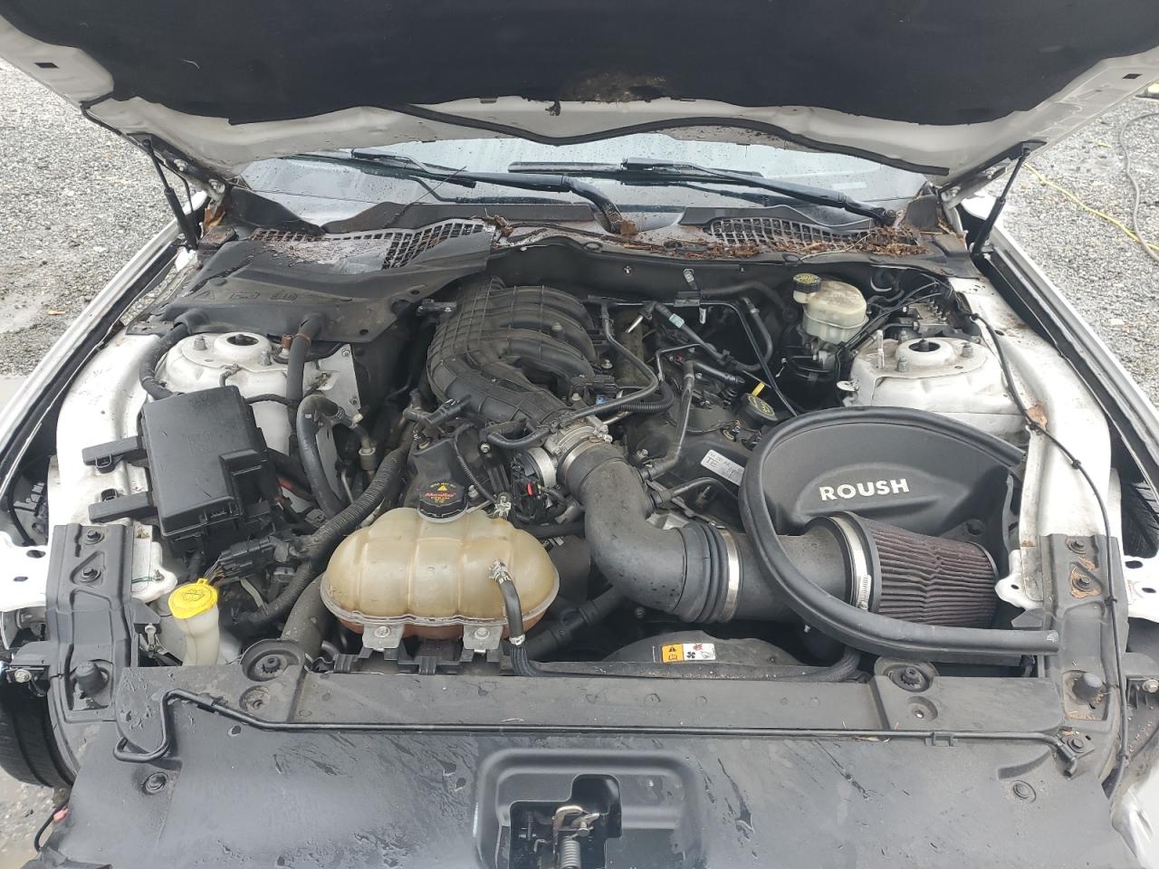 2015 Ford Mustang VIN 1FA6P8AM2F5429521 Copart auction photo, side / front end damage thumbnail 11