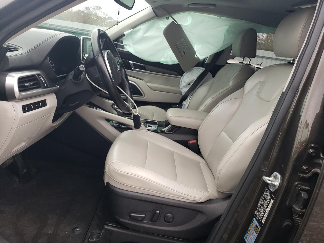 2020 KIA Telluride VIN 5XYP64HC7LG046975 Copart auction photo, side damage thumbnail 7