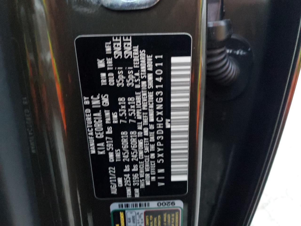 2022 KIA Telluride VIN 5XYP3DHCXNG314011 Copart auction photo, side damage thumbnail 16