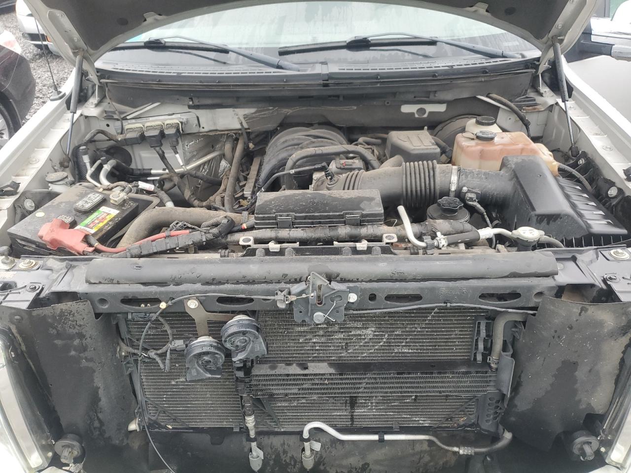 2010 Ford F-150 VIN 1FTEX1C84AFA12272 Copart auction photo, side / rear end damage thumbnail 11