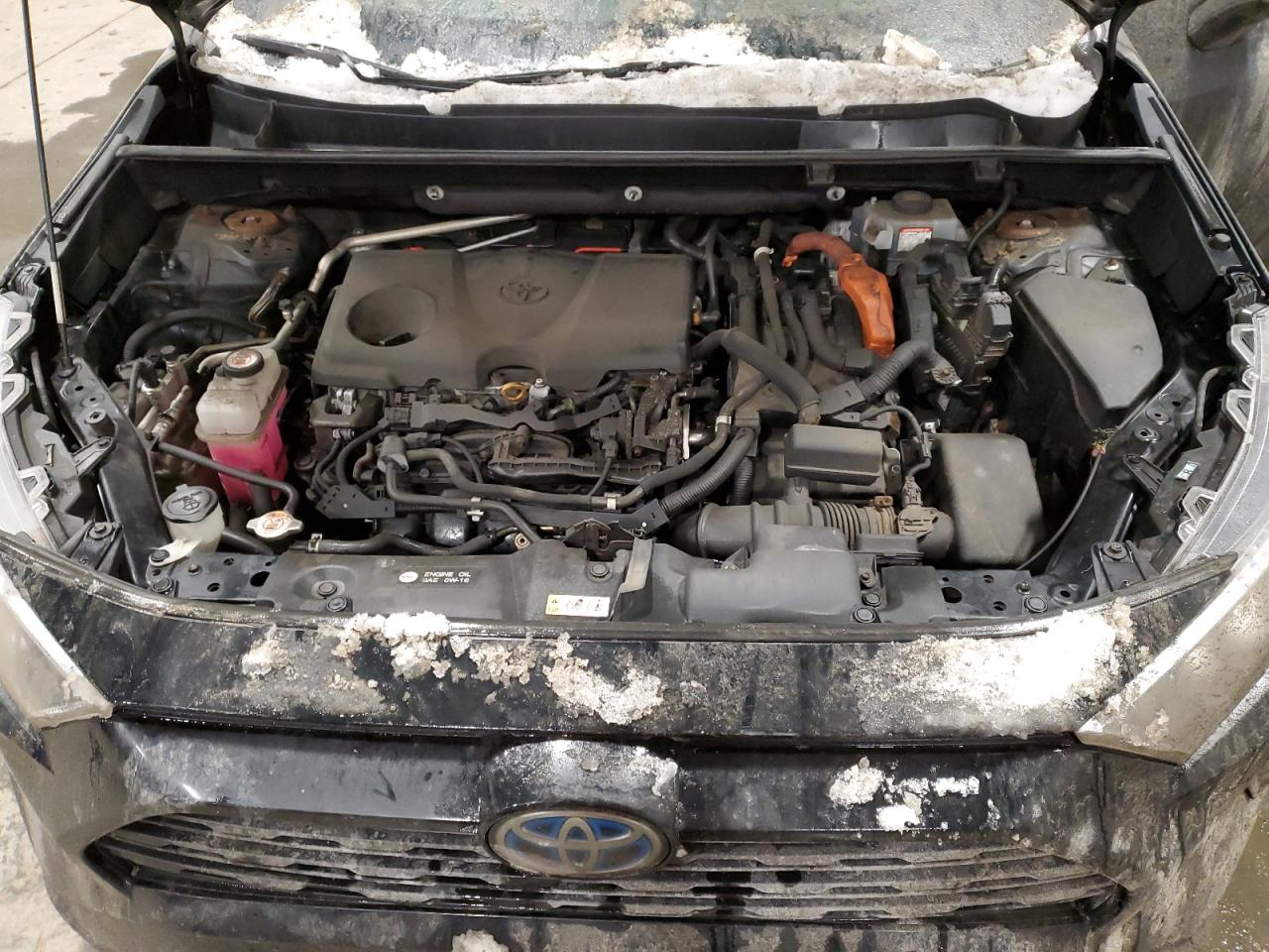2019 Toyota RAV 4 VIN 2T3LWRFV7KW036060 Copart auction photo, side damage thumbnail 13