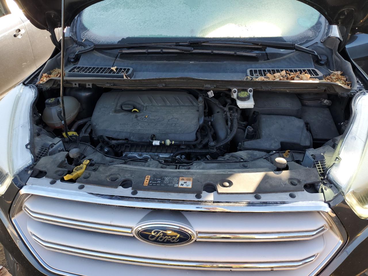 2018 Ford Escape VIN 1FMCU9HD5JUB12859 Copart auction photo, hail damage thumbnail 12