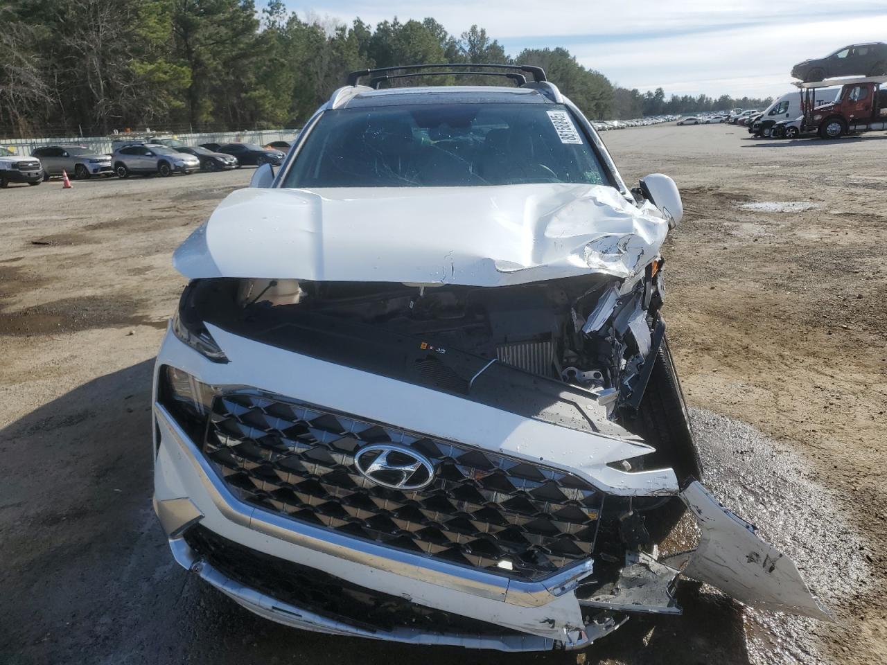 2023 Hyundai Santa Fe VIN 5NMS5DAL6PH645269 Copart auction photo, front end / minor dent/scratches damage thumbnail 5